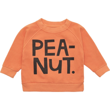 Load image into Gallery viewer, Baby Peanut Sweater
