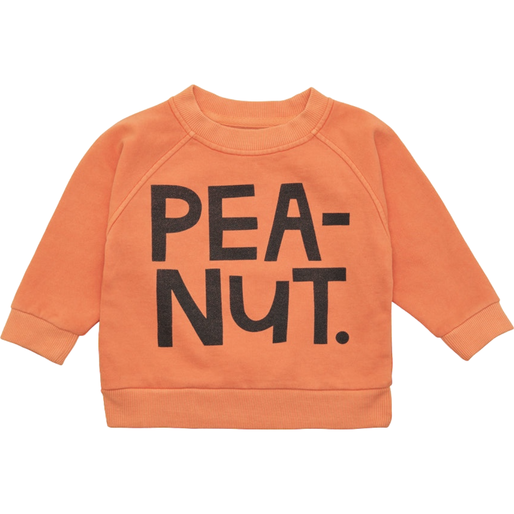 Baby Peanut Sweater