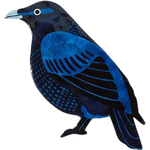 Aerial Bowerbird Wall Art