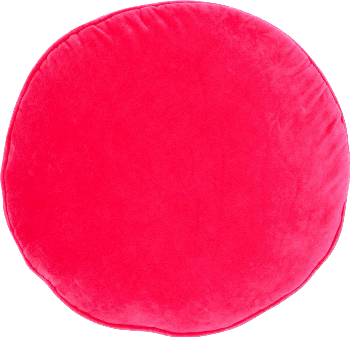 Pink Velvet Penny Round Cushion